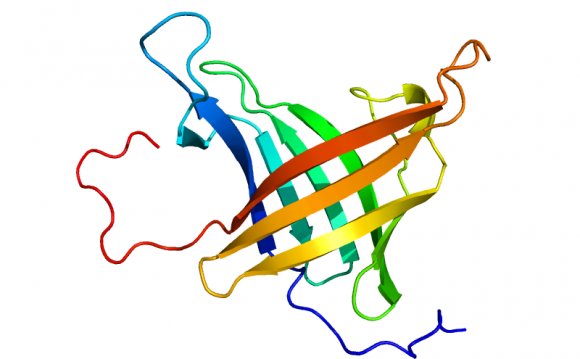 SP13287C_monomer.png