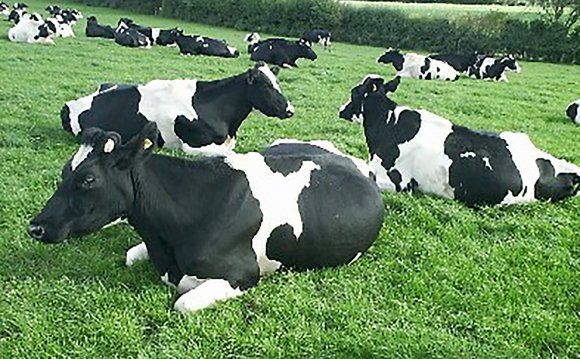 Boosting milk-production