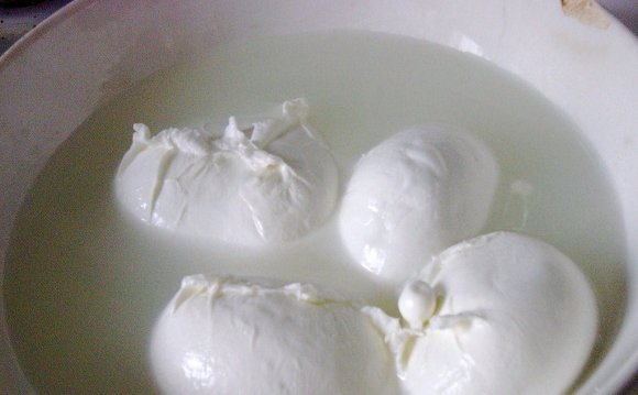 Buffalo mozzarella