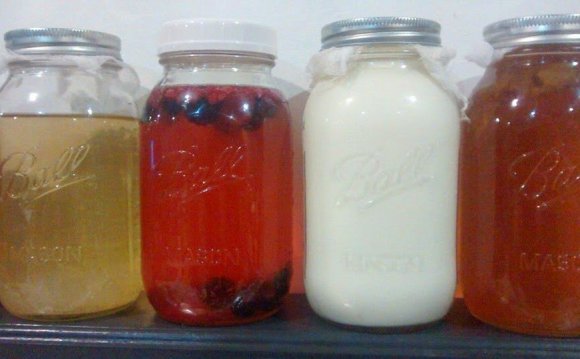 Far Left: Water Kefir (first