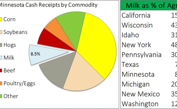 The share of Minnesota farm