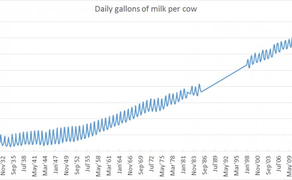 Milk yield per head per day in