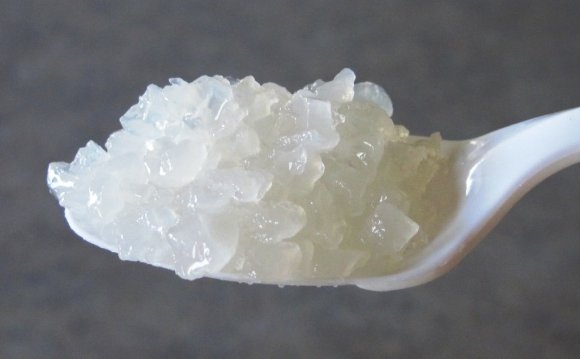 Water kefir grains