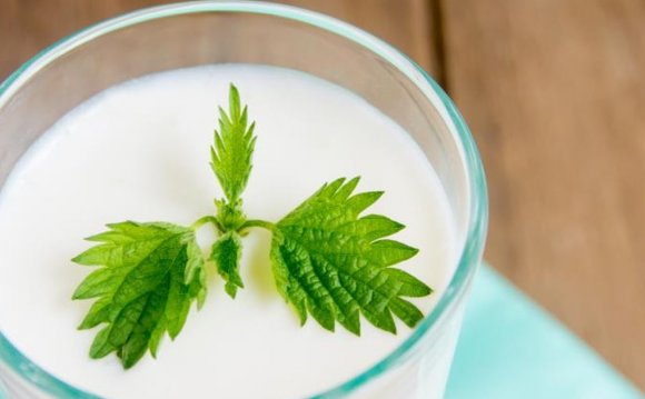 Kefir in the Paleo Diet