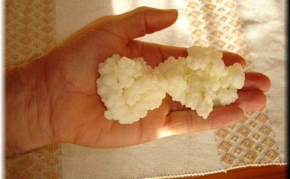 As you learn how to make kefir