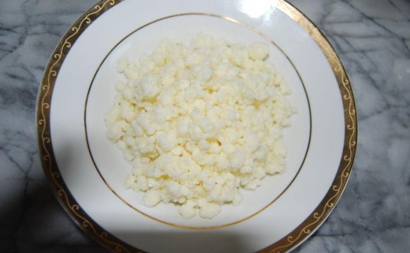 Live milk kefir grains