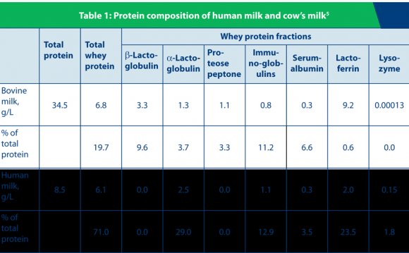 Myth : Whey protein or casein