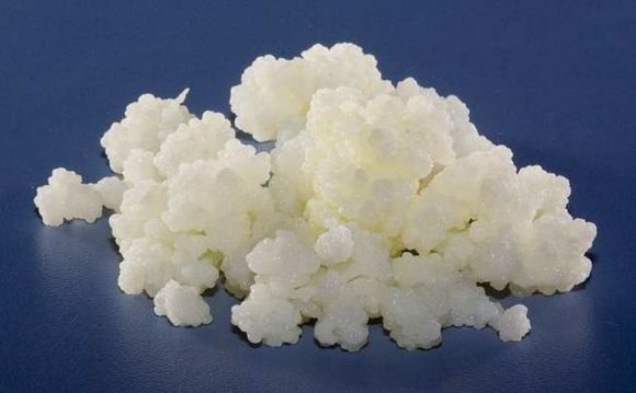 Organic Milk Kefir Grains