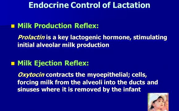 Endocrine Control of Lactation