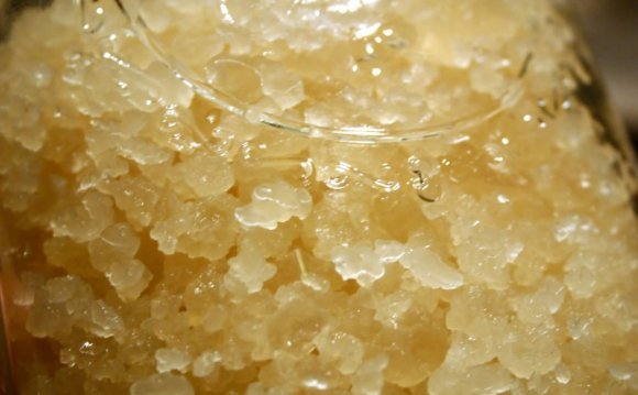 #3 Water Kefir Grains Using