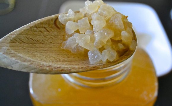 Water Kefir Grains for Sale