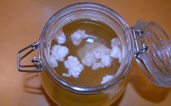 How To Make Water Kefir With