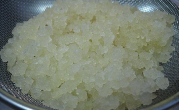 And Water Kefir grains if
