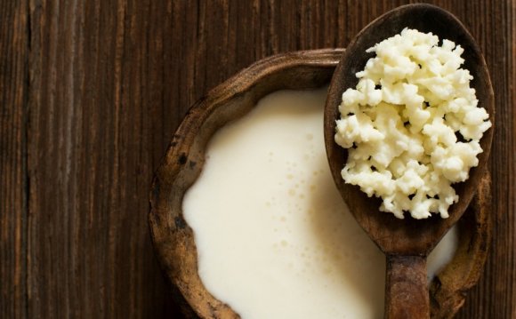 Milk kefir grains on a wooden