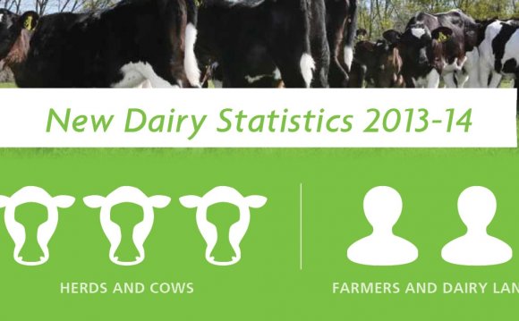 Average dairy Cow milk production