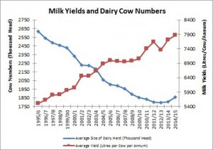 Average Milk Yield