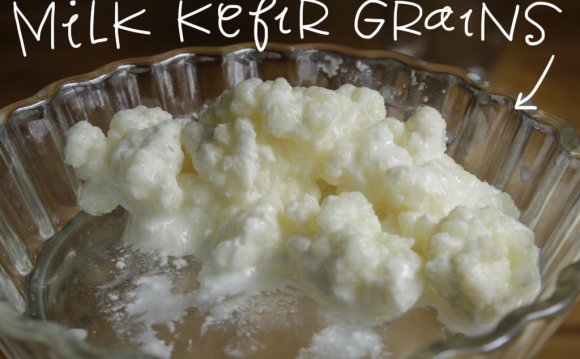 Milk kefir grains recipes