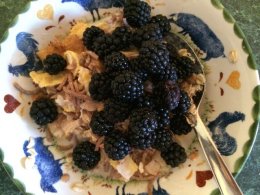 Breakfast of Champions! Home made Kefir yogurt with home made muesli, and local wild blackeberries