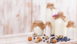 Choosing Milk for Making Kefir | Cultures for Health