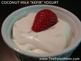 Coconut Milk Kefir Yogurt