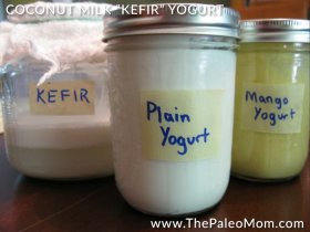 Coconut Milk Kefir Yogurt 2