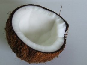 coconut_mini