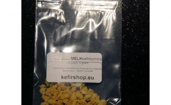 Dried kefir grains