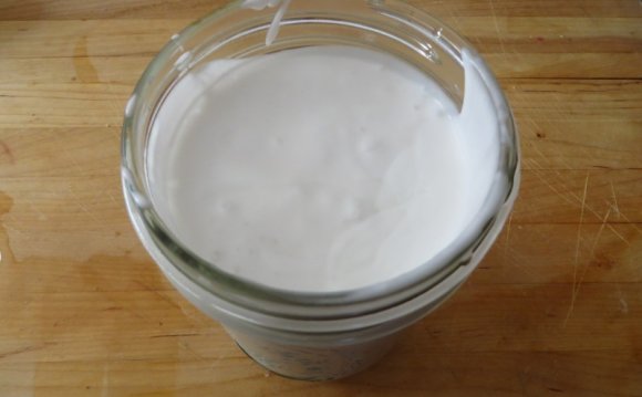 Coconut milk kefir benefits