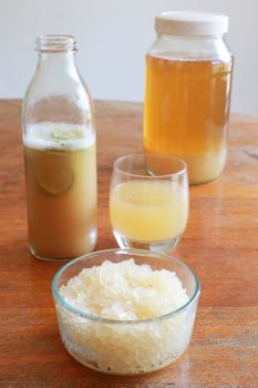 How to make water kefir. Recipe and tips. Little eco footprints