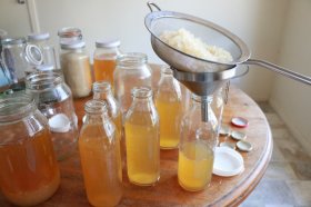 How to make water kefir. Straining grains. Little eco footprints.