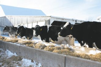Nutrition needs to be a focus when temperatures drop.