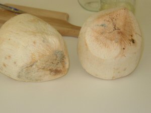 old coconuts