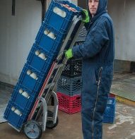 One of the farm’s workers loading milk bottles onto a truck. From dawn till dusk, the milk production and the shipping and receiving operations are working in parallel.