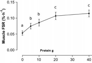 Protein_synthesis dose_reponse