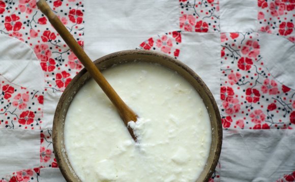 Kefir yogurt Recipes