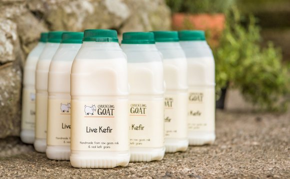 Goat milk kefir grains