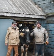 Ronny and his son, Dan, stand outside the milking parlor with a particularly docile cow. Ronny, the farm’s namesake, still runs operations. Dan can usually be found closer to the ground, kneeling and milking the cows. Still, Ronny is no slouch: He spends his days roaming the grounds, supervising all the moving parts of the farm that he founded.