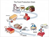 Chain of production for milk