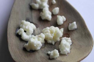 Using Other Types Of Milk For Your Milk Kefir