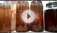 Active Water Kefir Grains