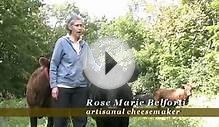 Artisanal, Farmstead Kefir Cheese