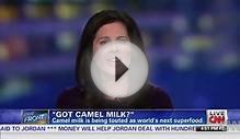 CAMEL MILK