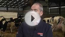 Glanbia Feeds for dairy cows in Ireland - driving milk