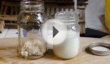 How to make Homemade Milk Kefir