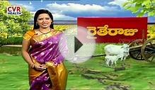 Increasing Milk Production by Keeping Dairy Cows | Raithe Raju