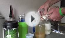 Kefir 101 water and milk cultures