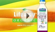 Lifeway Organic Whole Milk Kefir