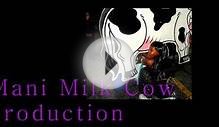 Mani Milk Cow Production