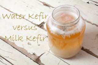 water kefir versus milk kefir_mini