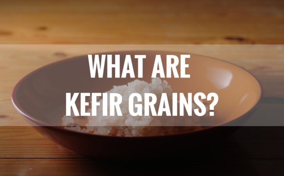 What are kefir grains?